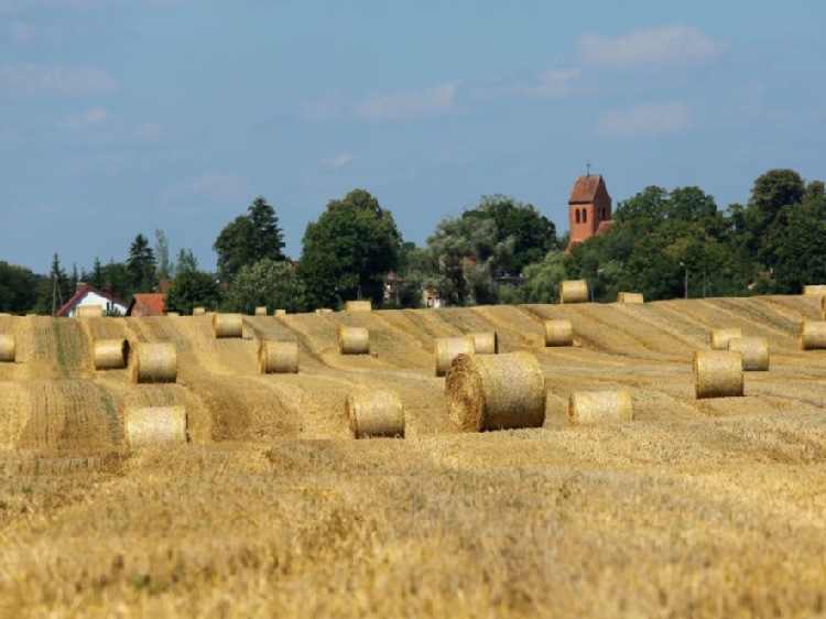 KOWR: nieco potaniały państwowe grunty rolne